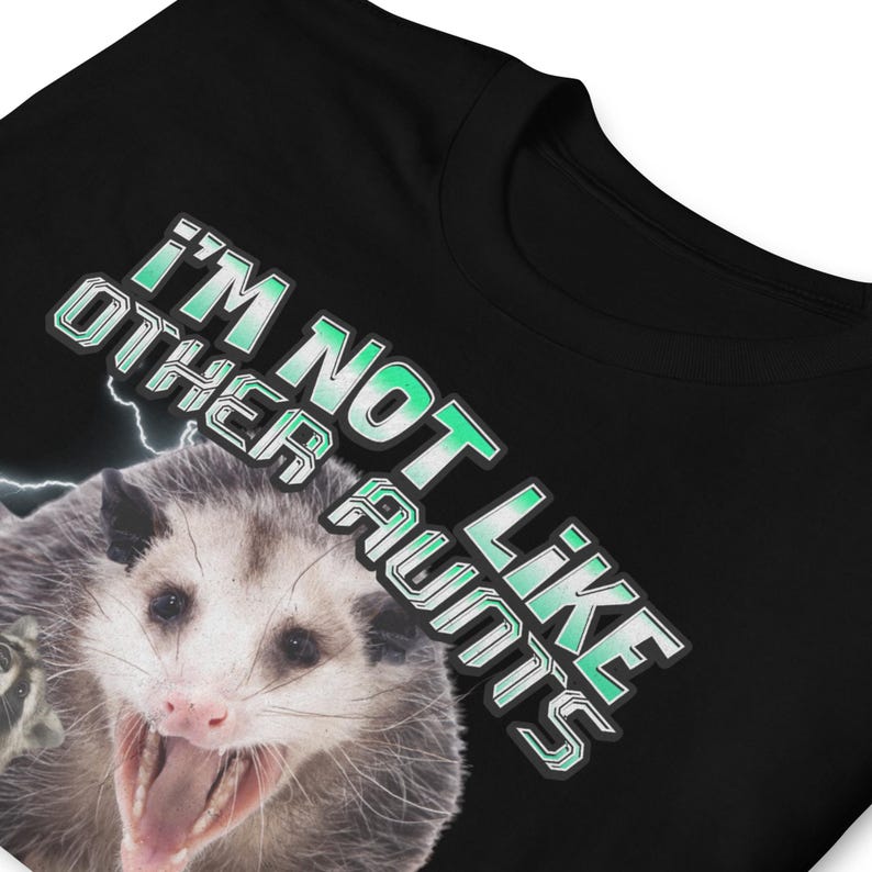 Funny Opossum Shirt, I'm Not Like Other Aunts I'm Worse Shirt, Trash Animal Graphic Tee, Raccoon Meme Shirt, Feral Aunt Gift, Possum Lover.