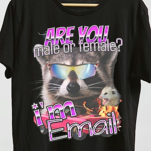 Unique funny pronouns shirt,pronouns funny shirt,funny meme raccoon tee,gift for friend,they/them shirt,he/him she/her they/them shirt.