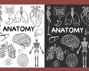 Wetenschap digitale stickers | Biologie - Anatomie | Goodnotes, voorgesneden, transparante achtergrond |