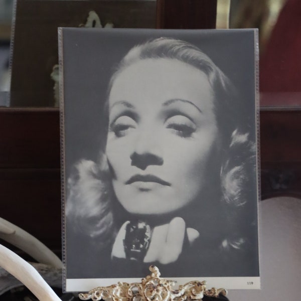Marlene Dietrich movie star actress black and white model