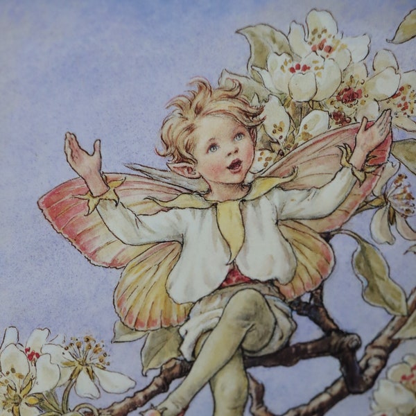 The pear blossom fairy Cicely Mary Barker fairytale original vintage unique gift birthday gift ideas paper print wall decor kids bedroom