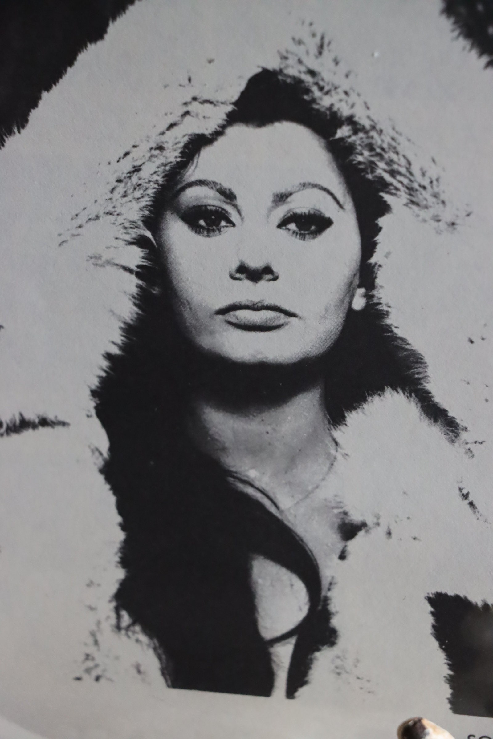 sophia-loren-italian-actress-film-movie-star-gorgeous-model-print-black