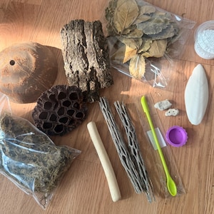 May include: A collection of natural terrarium supplies, including a coconut shell, bark, dried leaves, and a cuttlebone. Also included are a small container of white powder, a green spoon, and a purple lid.