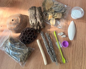 Op de afbeelding: Een verzameling natuurlijke terrariummaterialen, waaronder een kokosnootschil, schors, gedroogde bladeren en een sepia. Ook inbegrepen zijn een kleine container met wit poeder, een groene lepel en een paarse deksel.