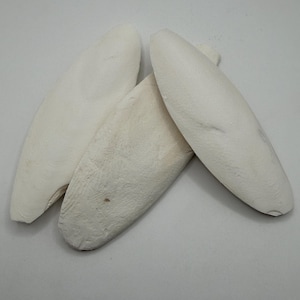 Hueso de sepia de 10-12,5 cm para isópodos y reptiles; seguro para terrarios y mascotas.