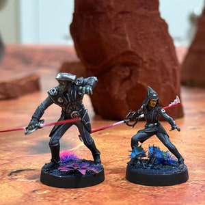 Star Wars Legion Seventh Sister and Fifth Brother Expansion Custom Painted, Star Wars Legion, Role Playing Games, Commission