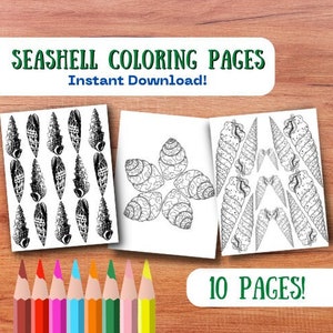 Downloadable Seashell Coloring Pages | Printable seashell Pages | Digital sea shell Pages | for Kids | Instant Download PDF Coloring Sheets