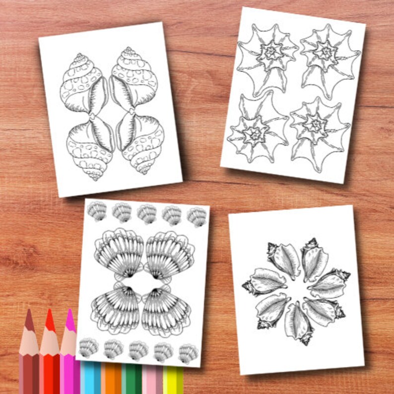Downloadable Seashell Coloring Pages | Printable Seashell Pages ...