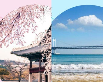 GUIDA SEOUL/BUSAN