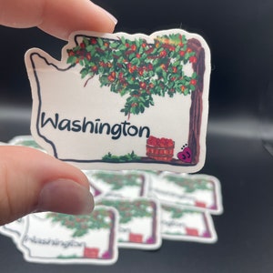 Washington State Outline Sticker - Apple Picking