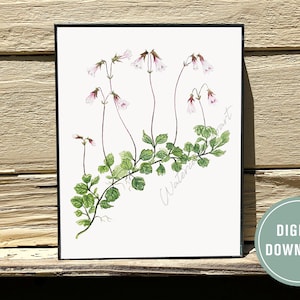 Watercolor Linnea Flower, Vintage Linnea Vine, Vintage Botanical Print, Twinflower, Swedish Linnea Flower, Linnea Borealis Art Print