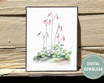 Stampa di fiori di Linnea ad acquerello, decorazione murale con fiori gemelli svedesi, decorazioni con fiori selvatici scandinavi, poster della Svezia, download digitale immediato