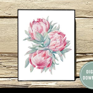 Watercolor Protea Flower, King Protea Printable, South Africa Flowers, Blush Pink Home Decor, Gift For Home Or Office, Instant Download