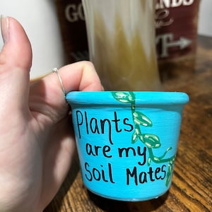 May include: A small, hand-painted turquoise flower pot with the words "Plants are my Soil Mates" in black script. Green vines and leaves decorate the top rim. The pot is held in a hand.