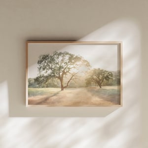 May include: A framed watercolor painting of two trees in a field. The trees are green and brown, and the field is a light brown color. The sun is shining brightly in the background, casting long shadows from the trees.