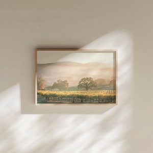 Vineyard Oak Trees Painting Fine Art Print California rolling hills Santa Ynez Napa Los Olivos Paso Robles Serene Peaceful Landscape Art