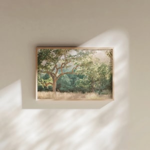 Oak Tree Painting Fine Art Print California Los Olivos Santa Barbara Santa Ynez Peaceful Calming Landscape oil Napa Minimalist Neutral Art