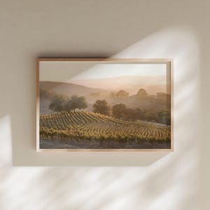 Paso Robles Vineyard Art Print | California Wine Country Landscape