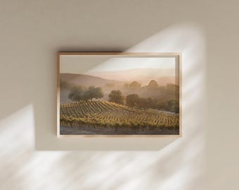 Paso Robles Vineyard Art Print | California Wine Country Landscape