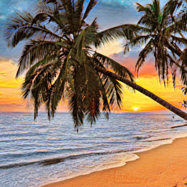 Digital Art Download Punta Uva Sunset 4 Photo Art Wall Decor