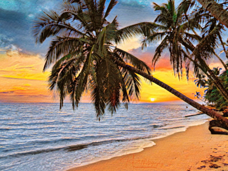 Peut inclure: Une scène de plage tropicale avec deux palmiers en silhouette contre un coucher de soleil vibrant. Le ciel est un mélange de teintes orange, rose et violette, avec le soleil couchant à l'horizon. L'océan est d'un bleu calme, avec des vagues blanches qui léchent le rivage. Le sable est d'une couleur beige chaude.