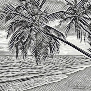 Digital Art Download Punta Uva Black and White Sunset Photo Art Wall Decor