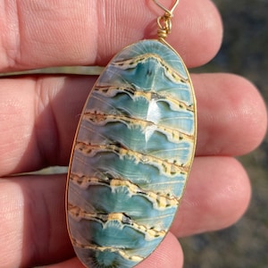 LARGE Chiton Mollusca Shell Necklace