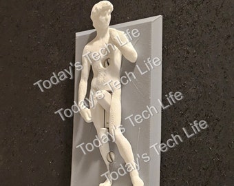 Michelangelo's David Funny Light Switch Cover - 3D David Sculpture Switch Plate Sophisticated Humor