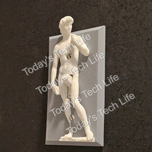 Michelangelo's David Funny Light Switch Cover - 3D David Sculpture Switch Plate Sophisticated Humor