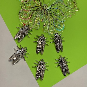 6 CICADA charms,  22x28mm, Tibetan antique silver tone charm collection, CICADA