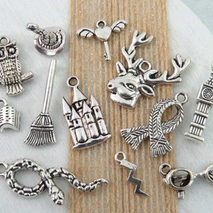12 Harry P WIZARD APPRENTICE charms, antique silver magical charm collection