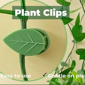 May include: Green leaf-shaped plant clips for supporting and training plants. The clips are easy to use and gentle on plants.  Plant Clips.