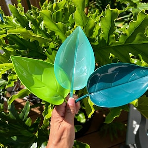 Plant Waterer, Houseplant Accessories, Plant Accessory, Plant Watering Can, Plant Tool, Garden Accessories, Houseplant Support, Plant Care
