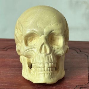 Mini Hand Carved Wooden Human Skull,Natural Solid Wood Anatomy Sculpture, Realistic Skull Decor,Gothic Art, Halloween Prop,Curiosity Display