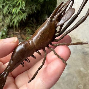 Copper Shrimp Figure Japanese Antique Vintage Patinated Metal Sea ...