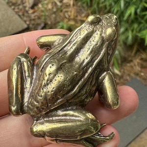 Op de afbeelding: Gedetailleerd messing kikkerbeeldje, met een getextureerd oppervlak en realistische details. De kikker zit, met de poten onder het lichaam gevouwen. Het messing heeft een warme, gouden tint.