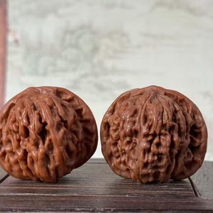 Puede incluir: Dos nueces marrones con superficies texturizadas se exhiben sobre una superficie de madera. Las nueces están colocadas una al lado de la otra, mostrando sus intrincados patrones en forma de cerebro. El fondo está borroso, con indicios de una ventana y una pared clara.