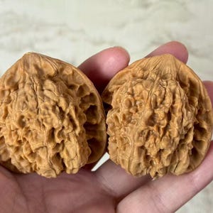 Puede incluir: Dos mitades de una nuez, que muestran la superficie texturizada y detallada de la nuez. Las mitades son de un color marrón claro y cálido, con un patrón complejo y acanalado. La imagen resalta los detalles naturales de la nuez.