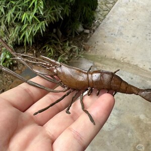Copper Shrimp Figure Japanese Antique Vintage Patinated Metal Sea ...