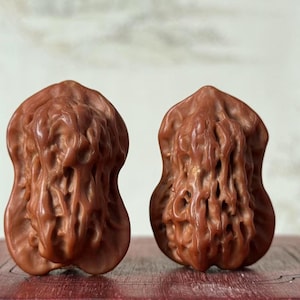 Puede incluir: Dos esculturas marrones talladas de una nuez, con detalles intrincados y una superficie texturizada. Las esculturas se exhiben sobre una superficie de madera.