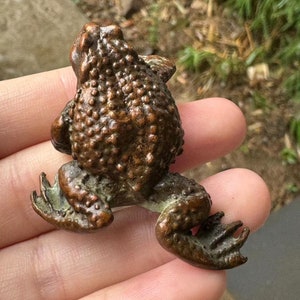 Könnte beinhalten: Eine bronzene Froschfigur mit einer strukturierten, unebenen Oberfläche. Der Frosch sitzt mit ausgestreckten Beinen. Die Figur hat ein detailliertes Design und ein verwittertes Aussehen, was darauf hindeutet, dass es sich um ein antikes oder Vintage-Stück handelt.