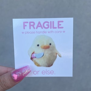 Cute Duck / Chick With Knife Fragile Handle With Care Packaging Mailing Labels Stickers