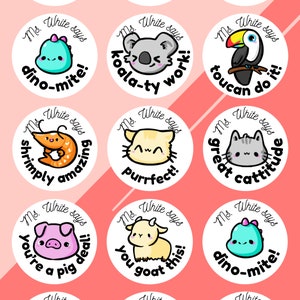 30 autocollants personnalisés pour enseignant MORE ANIMAL PUN - Récompenses pour l'enseignant, autocollants personnalisés, personnalisés avec le nom de l'enseignant