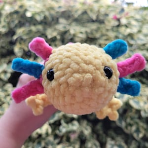 Gehäkeltes Pansexual Pride Axolotl | Amigurumi Axolotl | Handgemachtes Plüschtier | LGBTQ+ Axolotl Plüschtier