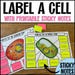 Cell Labeling Diagrams, Animal Cell Labeling, Plant and Animal Cell ...