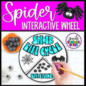 May include: A colorful educational spider life cycle interactive wheel. The wheel features a spider web, spiderlings, and a spider graphic. The text "Spider Life Cycle" is in blue. The image also includes a dish of spider web-shaped erasers.