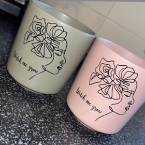 Customised Pot Plant