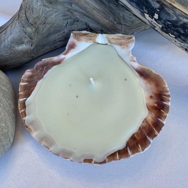 Seashell Candle Etsy
