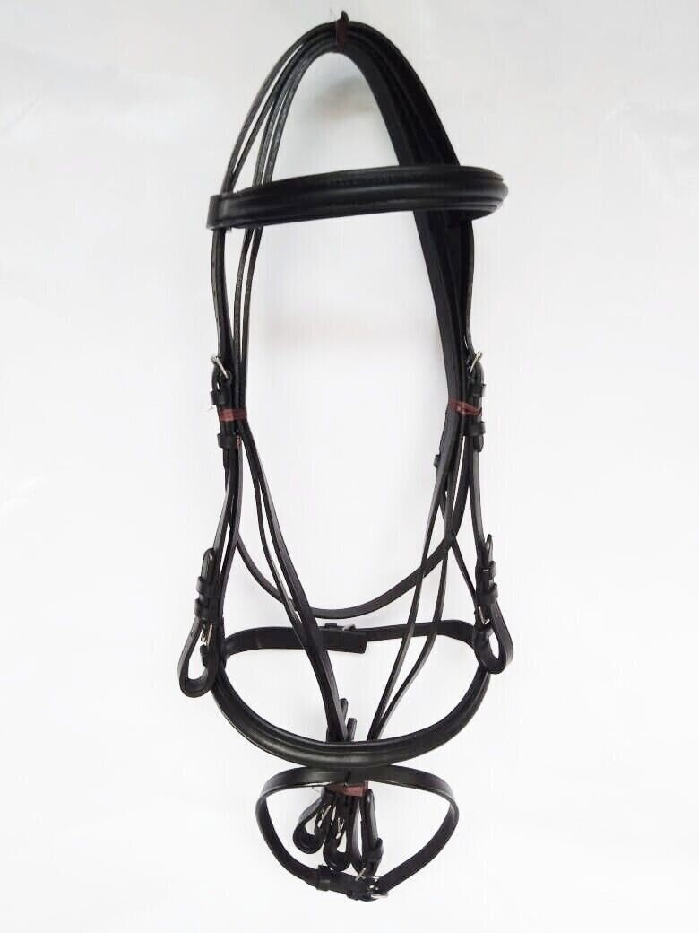 Draft Black Australian Leather Halter Bridle Combo With