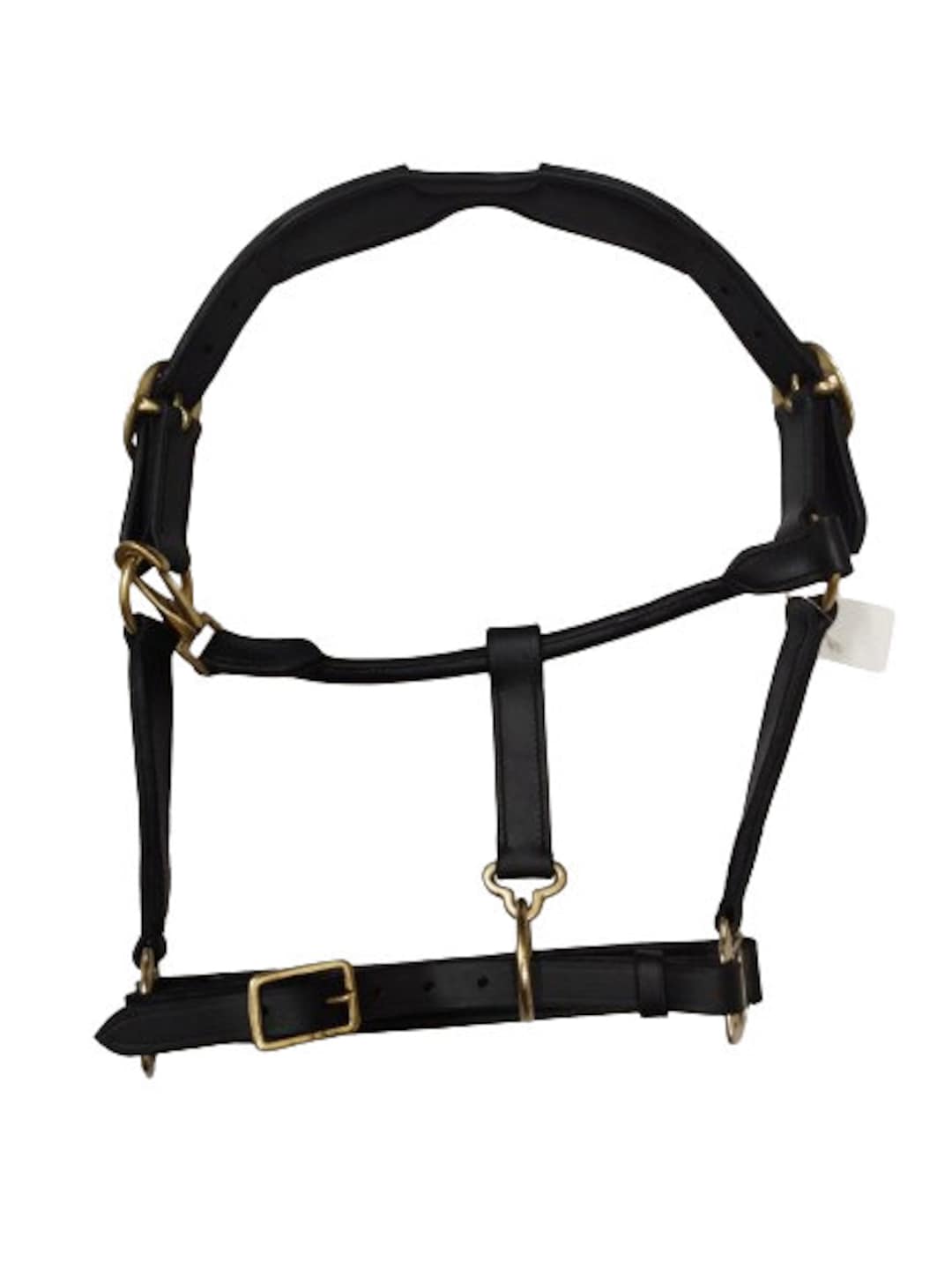 headpiece for horses